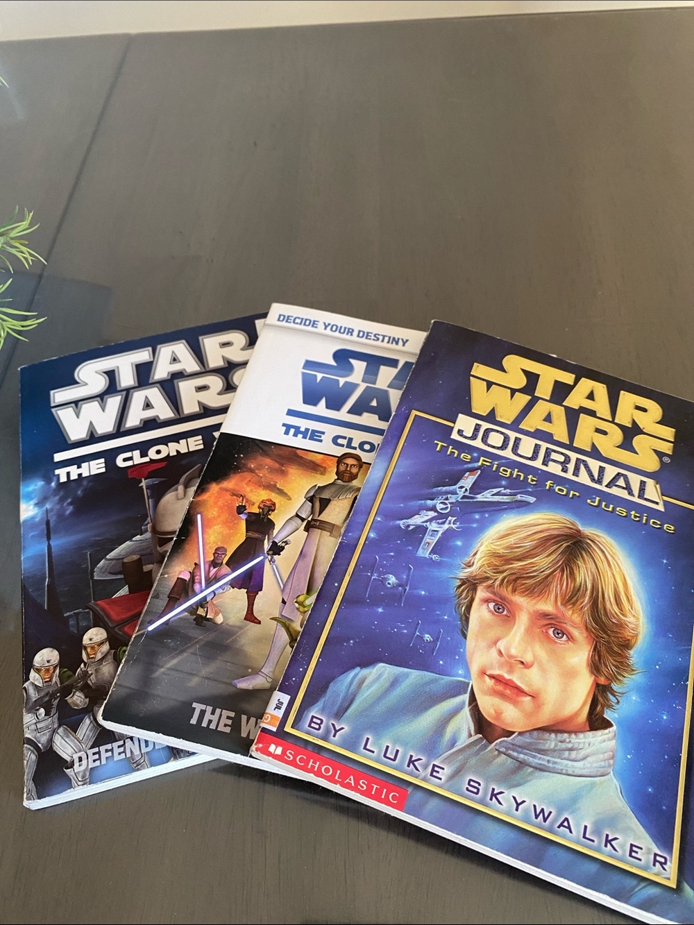 Star Wars Chapter Books beginner reading
